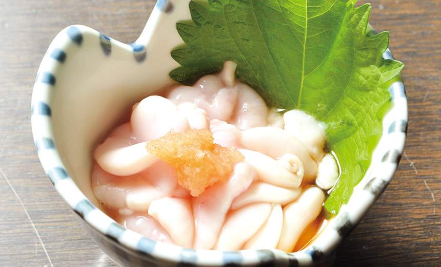 たちぽん